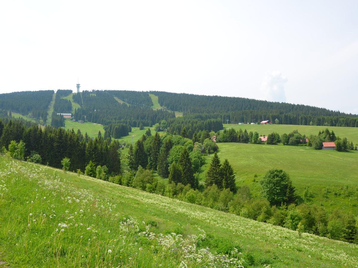 Nice Holiday Home In The Ore Mountains Only 500M From The Chairlift Loučná pod Klínovcem Exterior foto